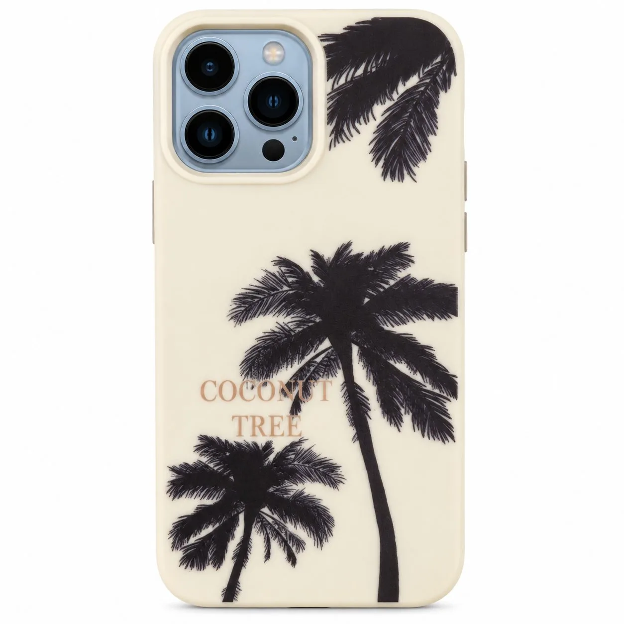 Coque iPhone 13 Pro