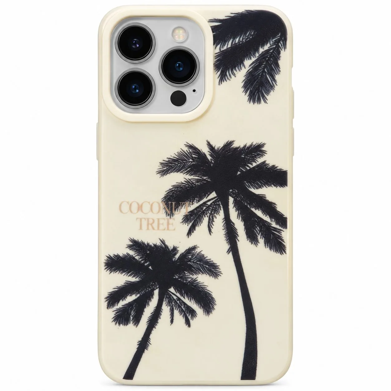 Coque iPhone 13 Pro
